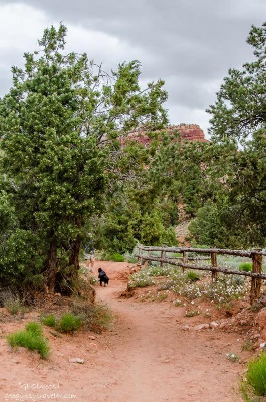 Timber & Tin F 2Bed 2Bath W Pool & Rooftop Deck Kanab Εξωτερικό φωτογραφία